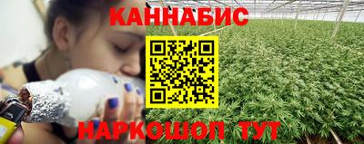 прущие крисы Бийск