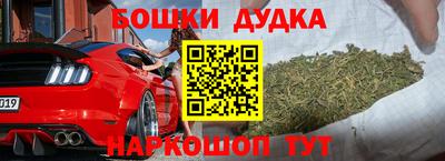 прущие крисы Бийск