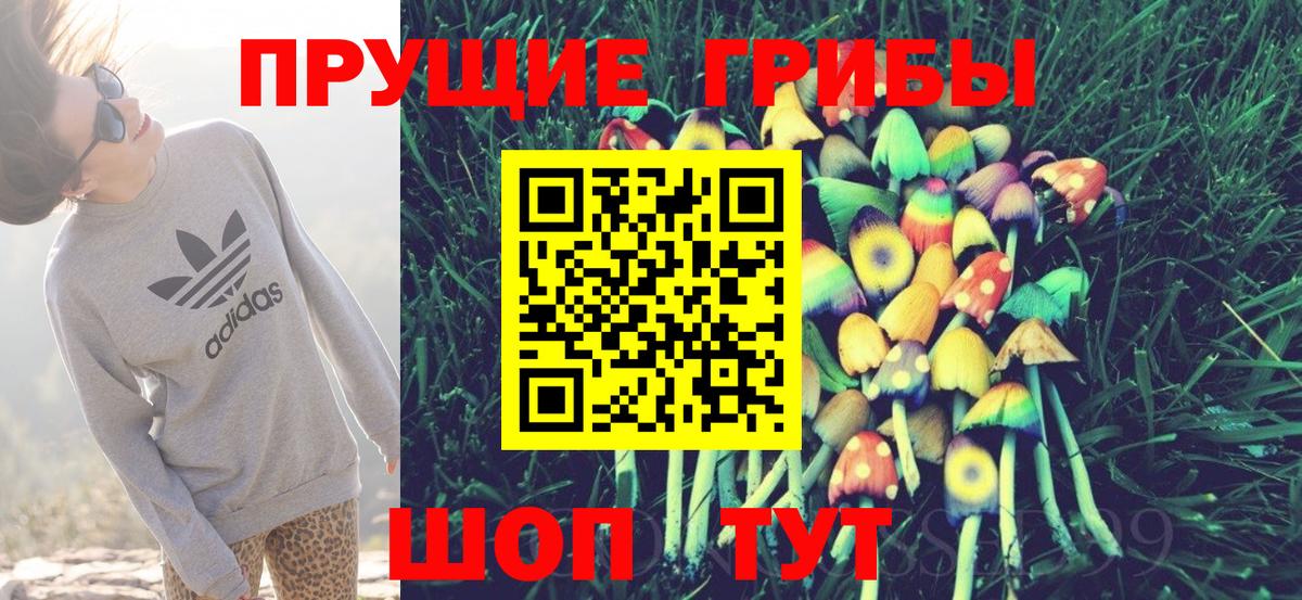 Галлюциногенные грибы GOLDEN TEACHER  Вход с VPN  Калининград 