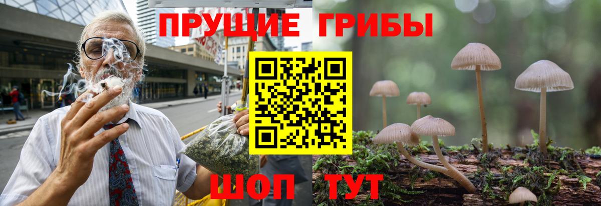 Галлюциногенные грибы Cubensis Калининград